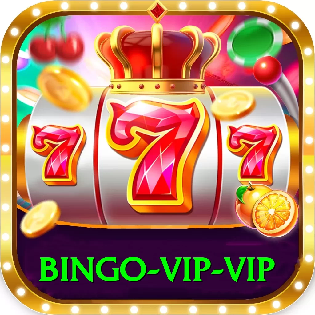 bingo - VIP VIP - 2